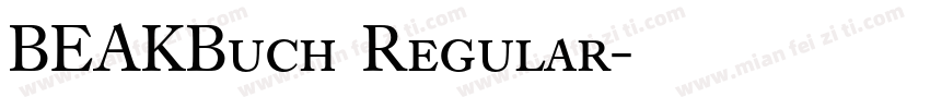 BEAKBuch Regular字体转换